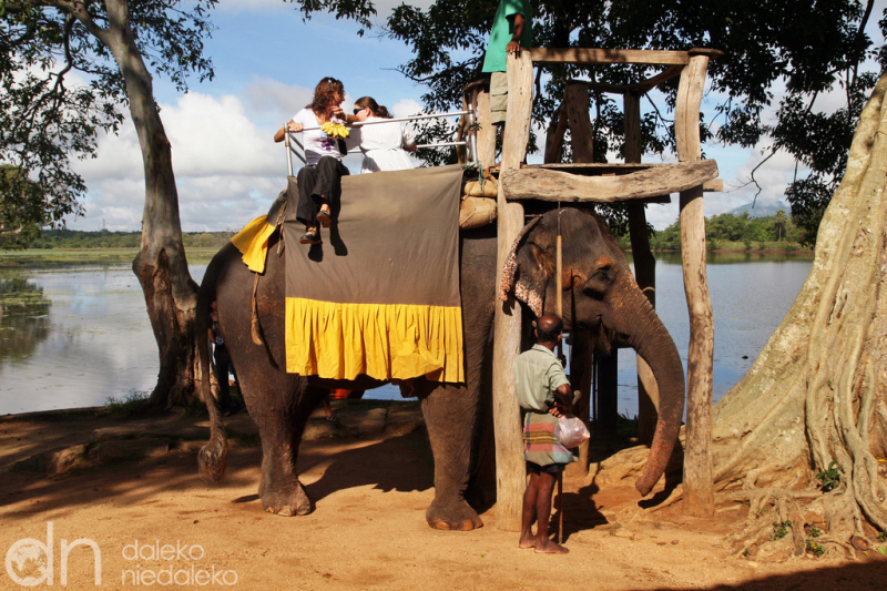 Przejażdżka na słoniu