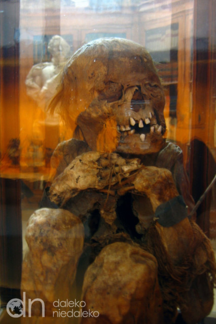 Mumia w Convento do Carmo