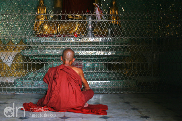 Birmański mnich