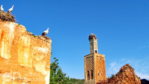 Minaret w Szelli