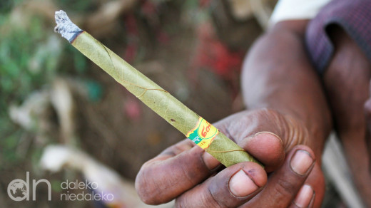 Cheroot - birmański papieros