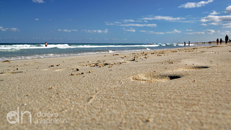 Plaża Corralejo