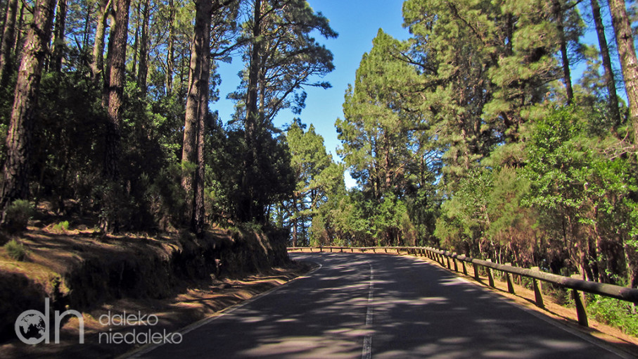 Droga na Teide