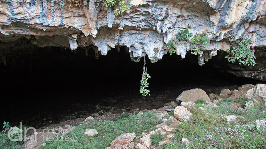Dzika jaskinia