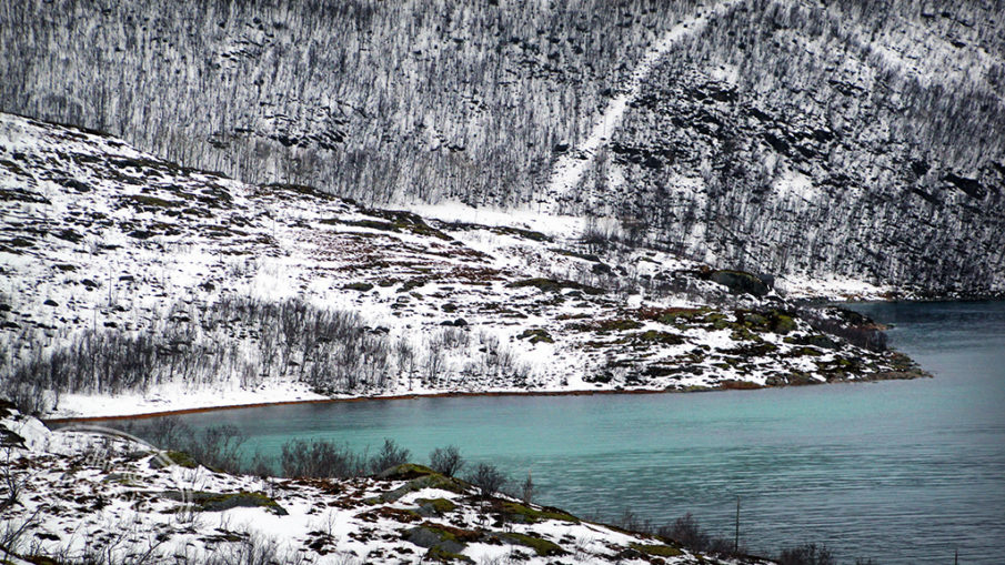 Kaldfjord