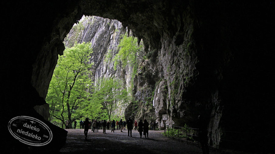 Jaskinie Szkocjańskie